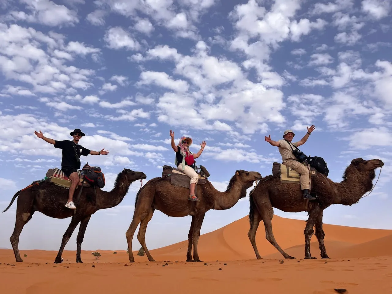Tours desde Marrakech