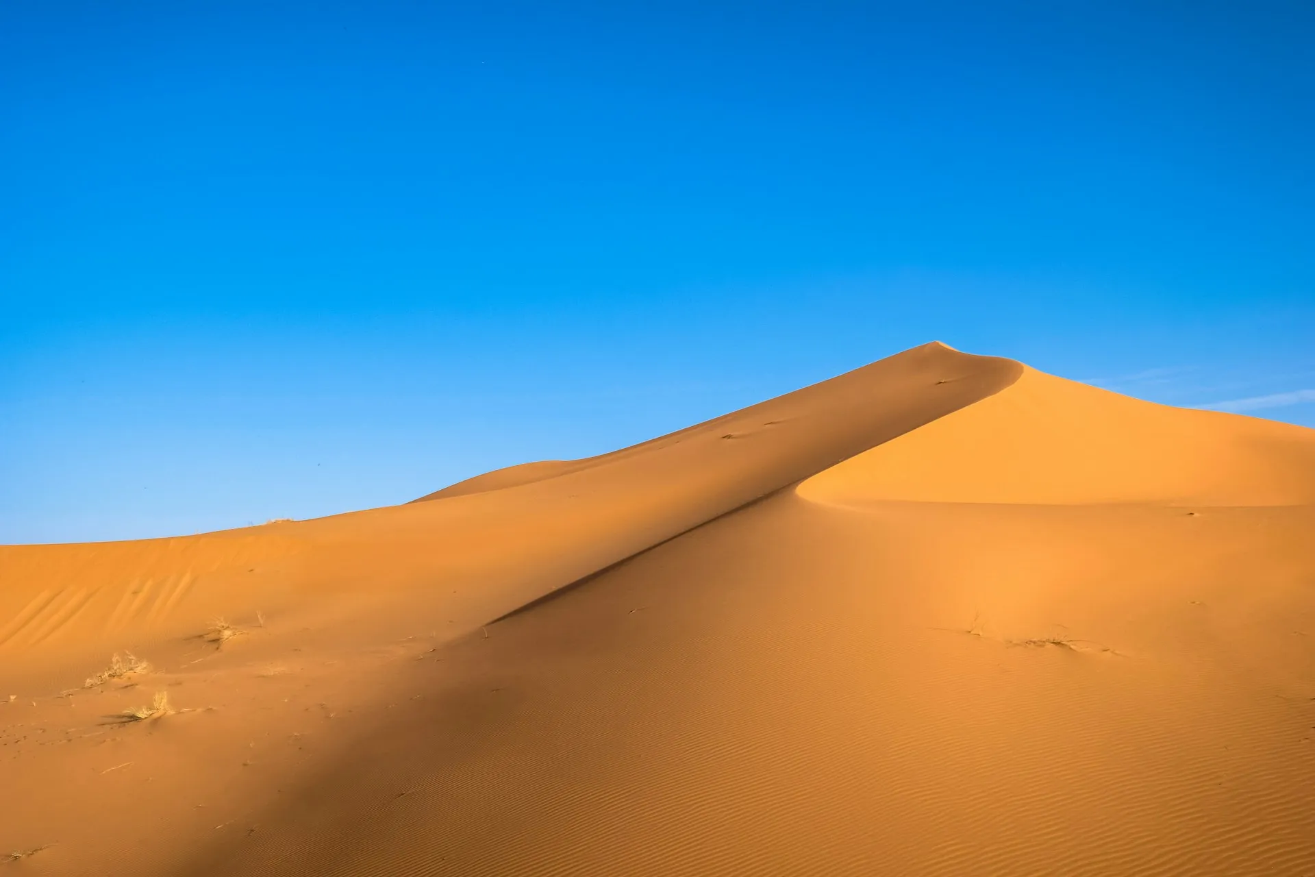 Paisaje del desierto del Sahara
