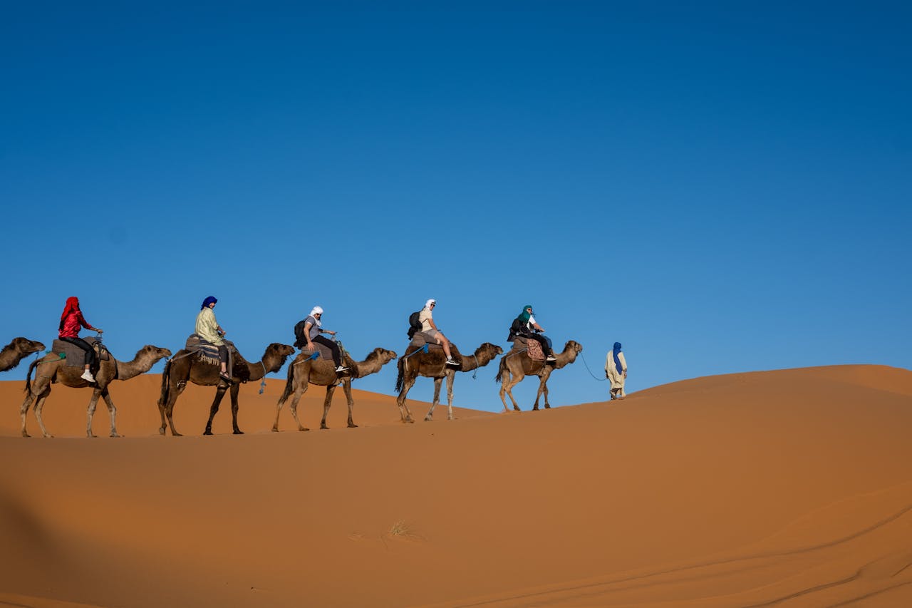 Tour de 3 días desde Fez a Marrakech