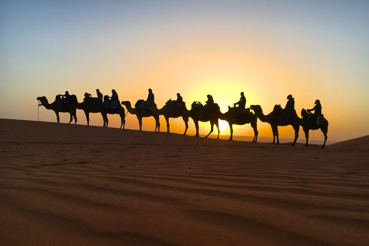 Excursión 2 Días Desierto Merzouga desde Fez: Rápida Aventura